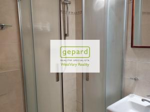 Pronájem bytu 2+1, Karlovy Vary, náměstí Dr. M. Horákové, 59 m2