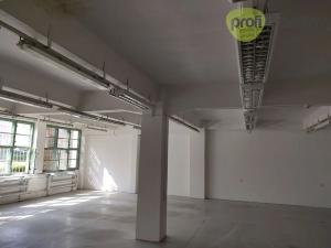 Pronájem skladu, Zlín, Šedesátá, 100 m2