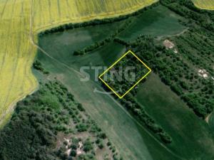 Prodej sadu/vinice, Koryčany - Blišice, 4839 m2