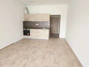 Pronájem bytu 1+kk, Třešť, Nádražní, 27 m2