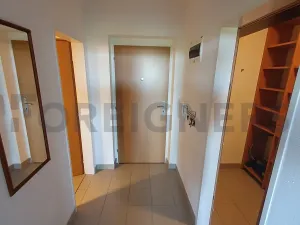 Pronájem bytu 1+kk, Brno, Tomečkova, 45 m2