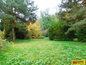 Prodej zahrady, Dyje, 482 m2