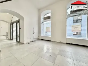 Pronájem obchodního prostoru, Brno - Brno-město, Kobližná, 260 m2