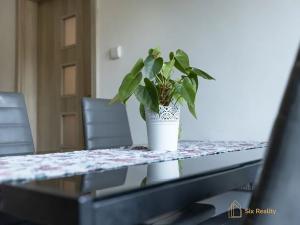 Prodej vícegeneračního domu, Račice, 291 m2