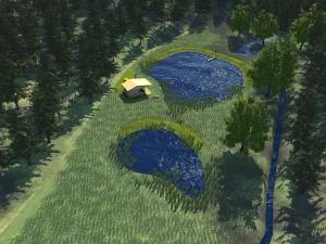 Prodej rybníku, Petrov, 7803 m2