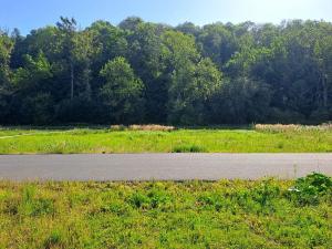 Prodej pozemku pro bydlení, Mohelnice, 995 m2