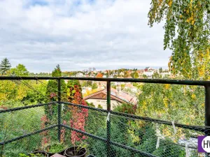 Prodej vícegeneračního domu, Praha, Na Truhlářce, 201 m2