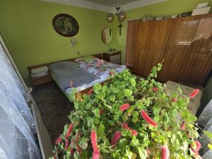 Prodej rodinného domu, Koněšín, 170 m2