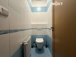 Pronájem bytu 2+kk, Černý Důl, 60 m2