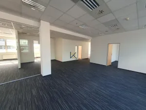 Pronájem kanceláře, Praha, Radlická, 789 m2