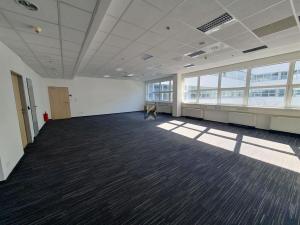 Pronájem kanceláře, Praha, Radlická, 576 m2