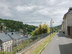 Prodej rodinného domu, Jáchymov, Mincovní, 406 m2