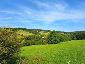 Prodej louky, Vizovice, 17696 m2