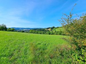 Prodej louky, Vizovice, 17696 m2