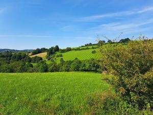 Prodej louky, Vizovice, 17696 m2