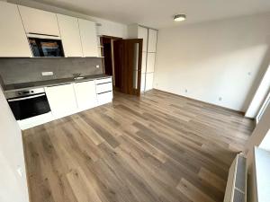 Pronájem bytu 1+kk, Brno, Spolková, 29 m2