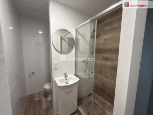 Pronájem bytu 2+kk, Ústí nad Labem, Brandtova, 40 m2