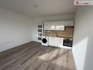 Pronájem bytu 2+kk, Ústí nad Labem, Brandtova, 40 m2