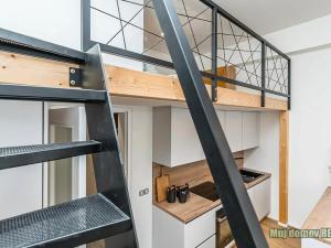 Pronájem bytu 1+kk, Praha - Žižkov, Malešická, 40 m2