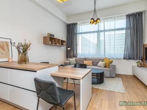 Pronájem bytu 1+kk, Praha - Žižkov, Malešická, 40 m2