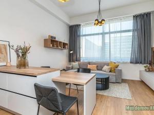 Pronájem bytu 1+kk, Praha - Žižkov, Malešická, 40 m2