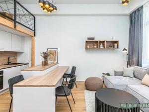 Pronájem bytu 1+kk, Praha - Žižkov, Malešická, 40 m2