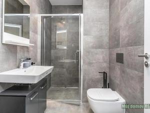 Pronájem bytu 1+kk, Praha - Žižkov, Malešická, 40 m2