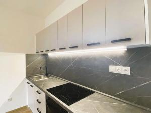 Pronájem bytu 1+kk, Libčice nad Vltavou, Letecká, 42 m2