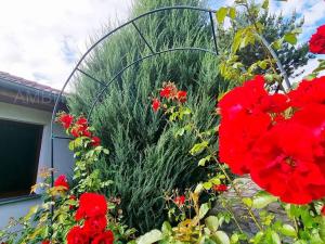 Prodej rodinného domu, Všestary, K lesu, 143 m2