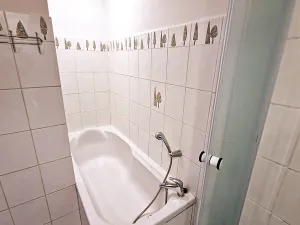 Pronájem bytu 3+1, Brno, Oderská, 70 m2