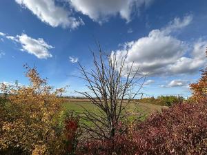 Prodej podílu pole, Olomouc, 10492 m2