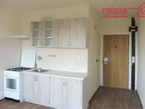 Pronájem bytu 1+1, Jirkov, Na Borku, 35 m2
