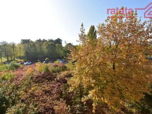 Pronájem bytu 1+1, Klášterec nad Ohří, Olšová, 40 m2