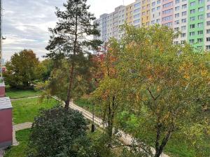 Pronájem bytu 2+kk, Praha - Kamýk, Machuldova, 42 m2