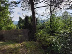 Prodej chaty, Hřebečníky, 90 m2