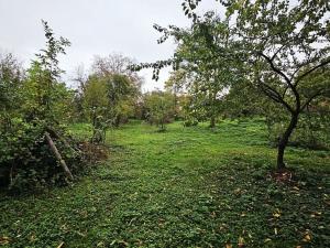 Prodej rodinného domu, Zlobice, 200 m2