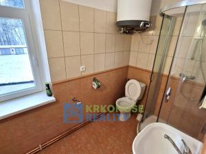 Pronájem bytu 2+1, Kunčice nad Labem, 47 m2