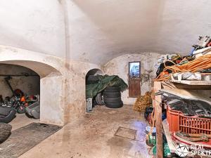 Prodej obchodního prostoru, Cetkovice, Velká Strana, 420 m2