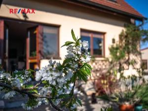 Prodej rodinného domu, Klecany, Na vršku, 120 m2