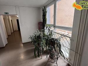 Prodej bytu 2+1, Praha - Stodůlky, Běhounkova, 46 m2