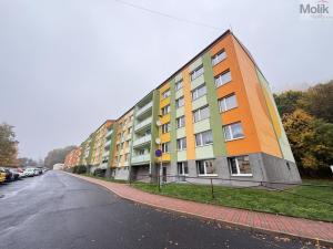 Prodej bytu 2+kk, Dubí, Koněvova, 40 m2