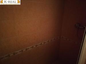 Pronájem bytu 1+kk, Brno, Pražská, 22 m2