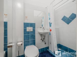 Pronájem bytu 4+1, Praha - Vinohrady, Polská, 134 m2