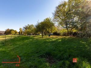 Prodej bytu 2+1, Zátor - Loučky, 75 m2