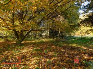 Prodej bytu 2+1, Zátor - Loučky, 75 m2