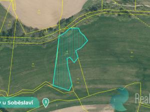 Prodej podílu 1/8 pozemku, Tučapy, 11561 m2