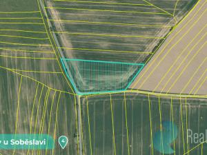 Prodej podílu 1/8 pozemku, Tučapy, 11561 m2