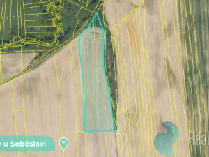 Prodej podílu 1/8 pozemku, Tučapy, 11561 m2