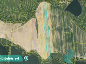 Prodej podílu 1/8 pozemku, Tučapy, 11561 m2