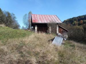 Prodej rodinného domu, Zlatá Olešnice, 200 m2